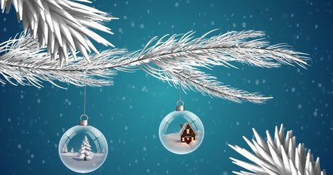 Winter Christmas Baubles Hanging on Snowy Branch