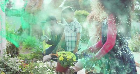 Family gardening together planting yellow chrysanthemums in sunlit backyard bed