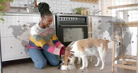 Kneeling woman in colorful striped sweater feeding and petting dog in modern kitchen