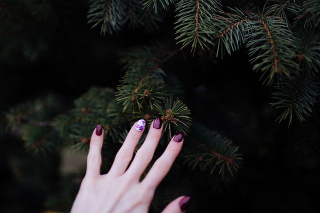 Hand with beautifully manicured purple nails gently reaching towards green pine branch. Can be used to represent beauty, connection with nature, self-care, or outdoors. Suitable for beauty advertisements, environmental campaigns, or lifestyle blogs.