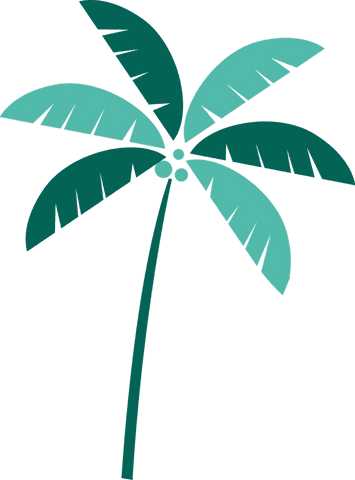 minimalist tropical palm tree illustration with transparent design - Download Free Stock Videos Pikwizard.com