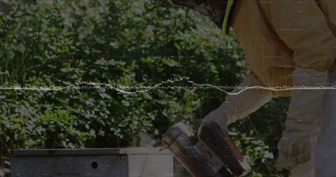 Beekeeper using smoker activity in lush apiary environment