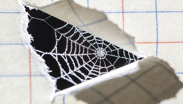 Torn ruled paper revealing frosted spider web through rip on grid paper macro closeup