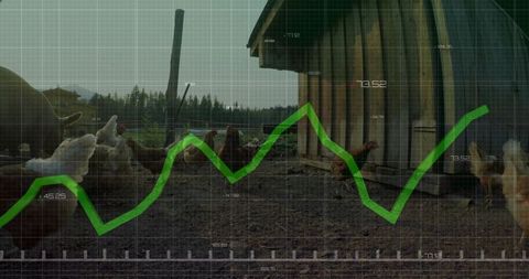 Free-Range Chickens with Agriculture Data Graph Overlay