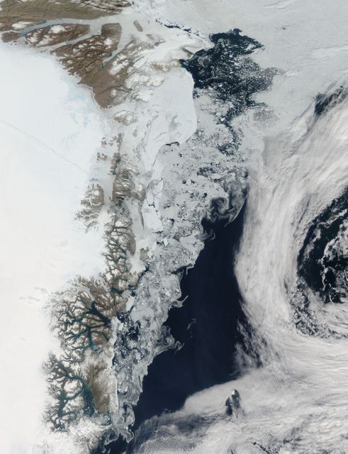 This satellite image of the Greenland coast captured on July 16, 2015, shows large chunks of melting sea ice, shaped by winds and currents, alongside fresh meltwater from glaciers and newly calved icebergs. The image is useful for environmental and climate change studies, educational materials related to global warming, and media articles discussing the impacts of rising global temperatures on Arctic ice.