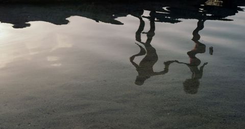 Reflection of Couple Walking on Beach in Rippling Water