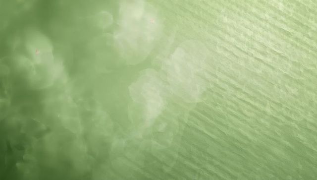 Soft green bokeh texture with diagonal ripples for backgrounds and design overlays