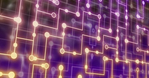 Digital data network overlay on diverse warehouse workers