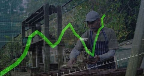 Horticulturist organizing wooden trays inside vibrant greenhouse