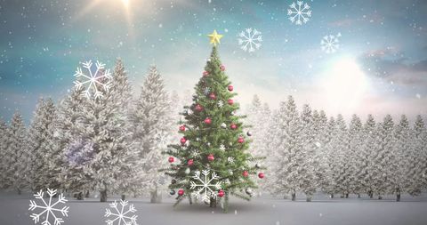 Festive Christmas Tree Amidst Snowy Pine Forest Background