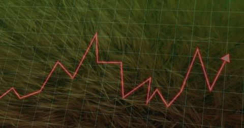 Abstract Financial Growth Line Graph on Natural Background