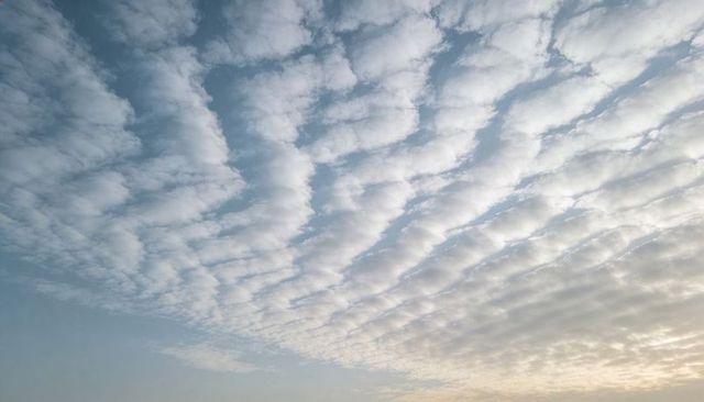 Parallel Altocumulus Bands Stretching Across Sunrise Sky with Warm Horizon Glow