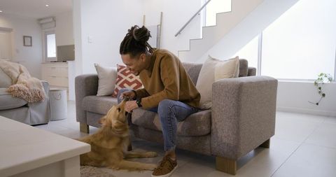 Young man playing tug with golden retriever on gray sofa in modern neutral living room