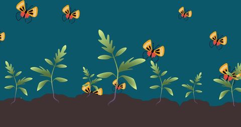 bright butterflies and new plant growth against green background - Download Free Stock Images Pikwizard.com