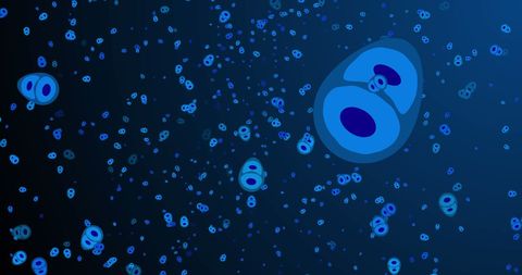 Digital Illustration of Human Cells on Navy Background - Download Free Stock Images Pikwizard.com