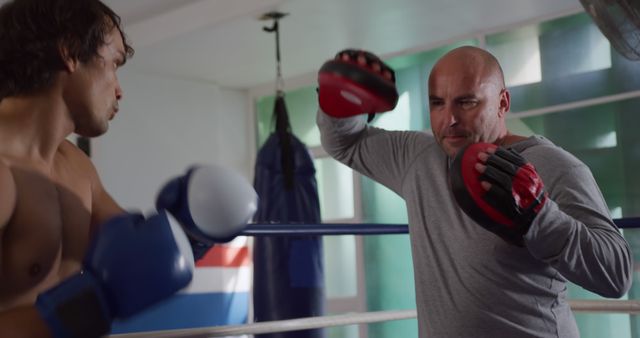 Trainer with Pad Holding Pads for Boxer in Gym - Download Free Stock Images Pikwizard.com