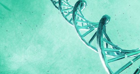 Green 3D DNA Strand Representation Spinning