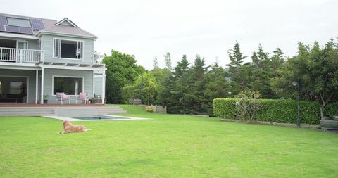 Modern two-story gray home with plunge pool and golden retriever on lush lawn