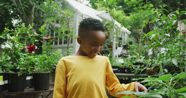 Young boy is smiling and exploring vibrant greenery and various plants in a greenhouse garden. Ideal for themes of childhood, nature, outdoor activities, botany, and urban gardening. Perfect for educational content, environmental campaigns, gardening blogs, and lifestyle magazines.