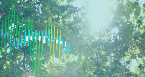 Data Analytics Overlaid on Sunny Forest Background