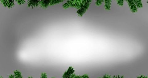 Christmas Fir Branches Surround Bright Background
