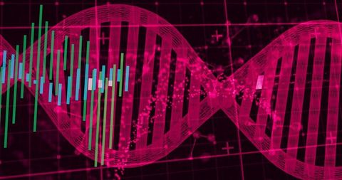 Magenta dna double helix with neon candlestick chart overlay for genomic analytics dashboards