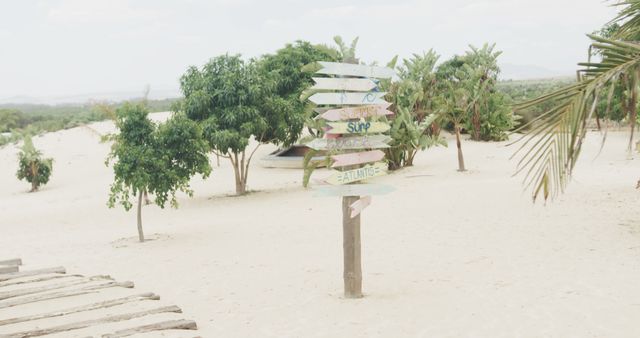Empty beach with path, green trees and wooden sign with directions. Beach, vacation, summer and leisure.