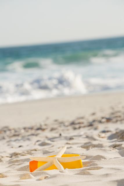 Starfish, sea shells and a bottle of sunscreen lotion on sand at beach