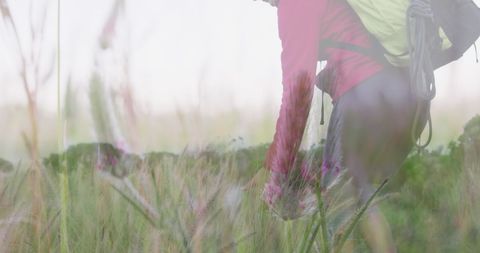 Active Senior Woman Hiking Through Serene Natural Landscape - Download Free Stock Images Pikwizard.com