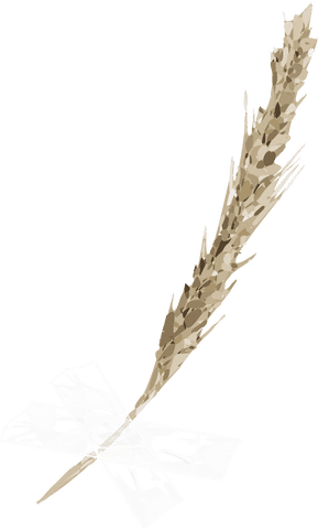 Transparent dried botanical spike on textured background