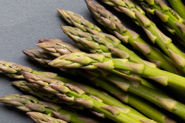 Close-up of organic asparagus in plate on blue background, copy space. unaltered, food, healthy eating, studio shot and organic.