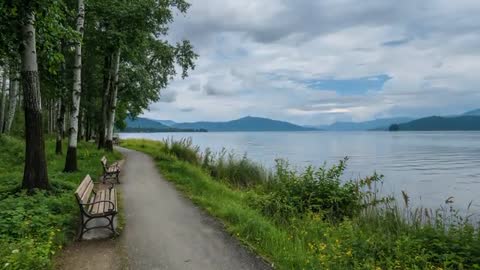 Lakeside Path with Benches and Swaying Birch Trees Under Cloudy Sky — Serene Walking Video