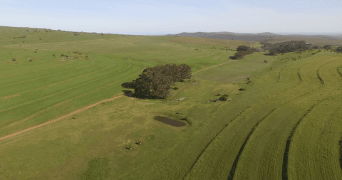 transparent hillside landscape with trees and ponds - Download Free Stock Videos Pikwizard.com