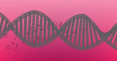 Graphic of Spinning DNA Strand on Pink Background - Download Free Stock Images Pikwizard.com