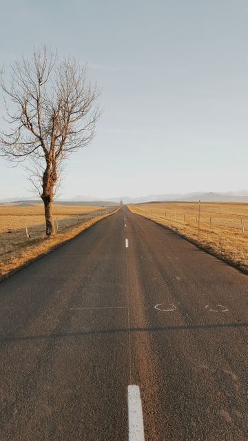 Road Way Landscape - Download Free Stock Photos Pikwizard.com