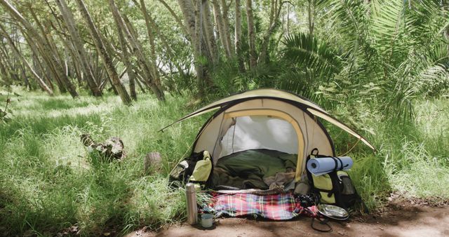 An outdoor scene showing a pitched camping tent in a green forest. Scattered camping equipment, picnic blanket, and backpack can be seen near the tent. Suitable for use in articles about outdoor activities, travel, adventure, camping gear, and nature exploration.