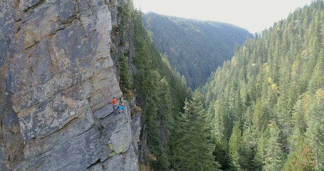 Caucasian man climbs a steep cliff in a forested area. His adventure highlights the thrill of rock climbing amidst nature's grandeur.