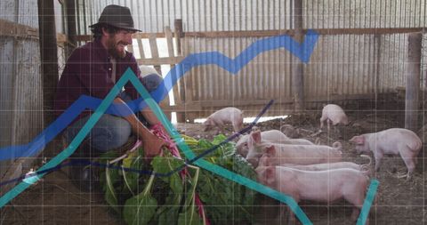 Farmer Feeding Piglets Amidst Financial Graph Overlay in Barn