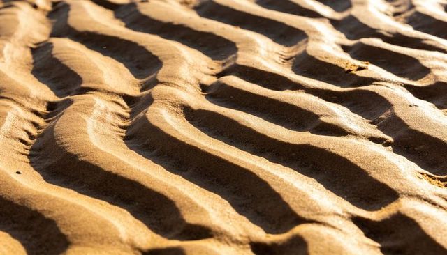 Golden rippling sand ridges with wet sheen and long shadows at low angle | coastal tidal patterns