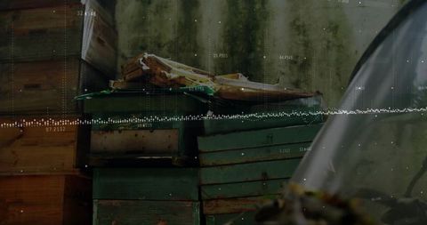 Wooden Beehive Boxes with Open Honeycomb in Rustic Apiary