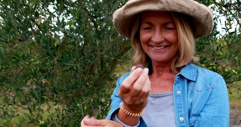 Woman Enjoying Agritourism Activity Picking Olives Outdoors