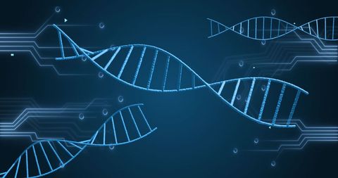 DNA Structures with Microprocessor Connections - Download Free Stock Images Pikwizard.com