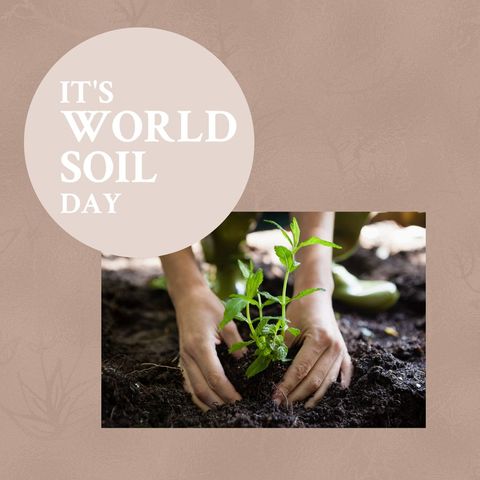World Soil Day Celebration with Planting Activity in Garden - Download Free Stock Templates Pikwizard.com