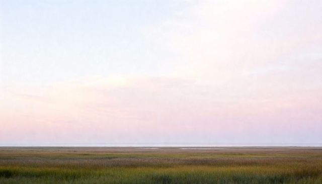 Pastel dawn over coastal salt marsh with tidal channel and swaying grasses