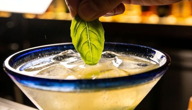 Hand placing fresh mint garnish on chilled lemon cocktail in blue-rim glass, closeup