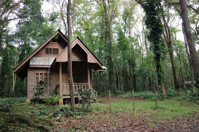 This image depicts a charming wooden cabin nestled amongst dense forest foliage. Ideal for representing tranquility, forest retreats, outdoor activities, and rustic living. Perfect for use in content related to nature escapes, cabins for rent, retreat advertisements, or wild nature experiences.