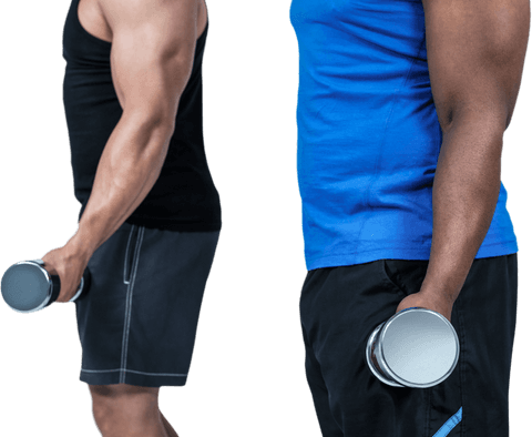 Transparent duo exercising with dumbbells back to back