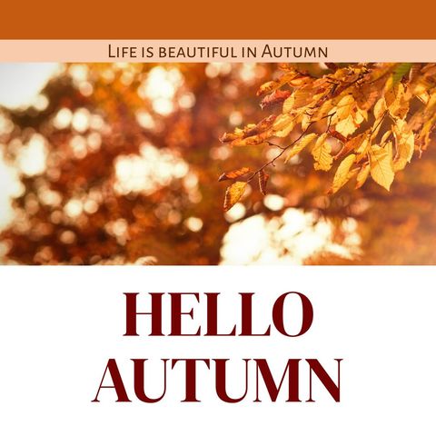 Vibrant Autumn Leaves with Inspirational Text Overlay - Download Free Stock Templates Pikwizard.com