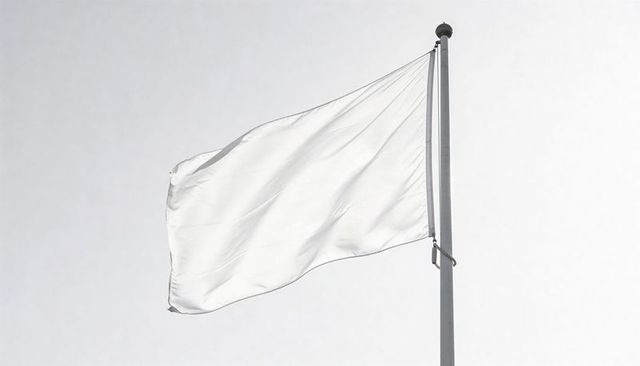 White flag billowing on flagpole against overcast sky minimalist signal