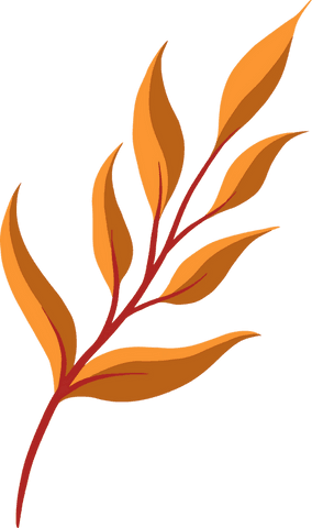 Stylized orange leaves on transparent background illustration